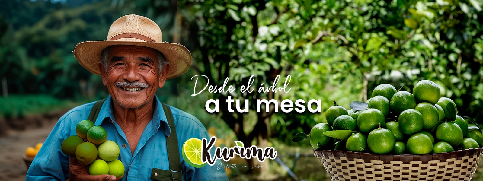 "¡Desde el árbol a tu mesa